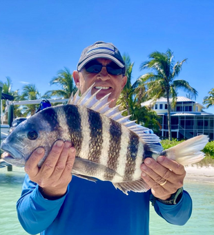 Finest Sheepshead In Englewood FL 